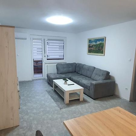 Apartma Sivi Zako Bohinj Dış mekan fotoğraf