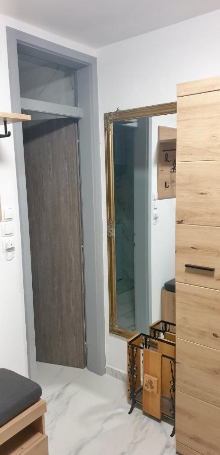 Apartma Sivi Zako Bohinj Dış mekan fotoğraf
